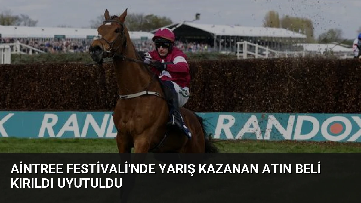 Aintree Festivali’nde Yarış Kazanan Atın Beli Kırıldı Uyutuldu