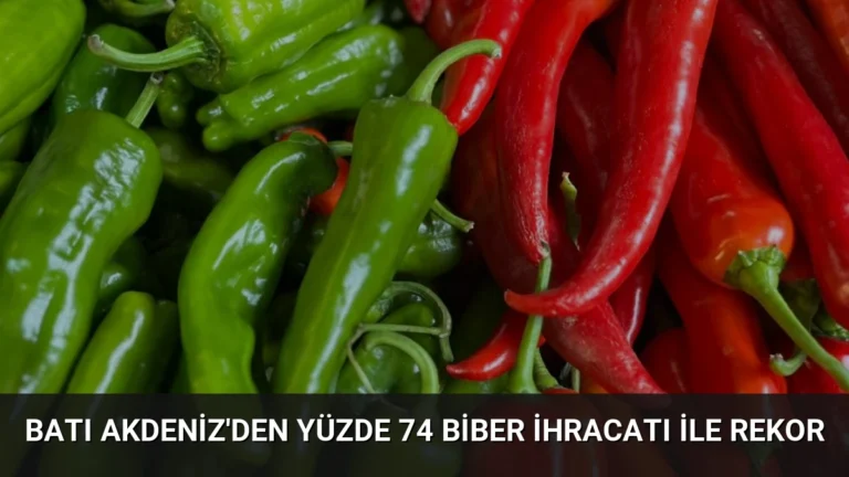 Batı Akdeniz’den Yüzde 74 Biber İhracatı İle Rekor