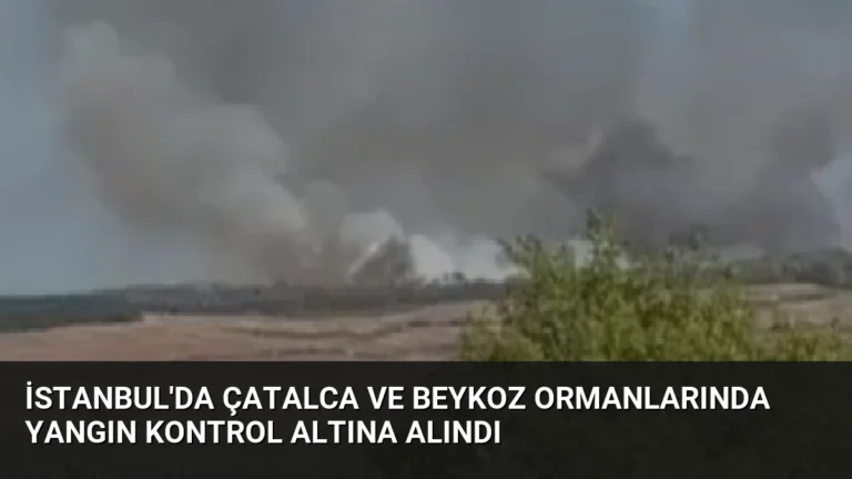 İstanbul’da Çatalca ve Beykoz Ormanlarında Yangın Kontrol Altına Alındı