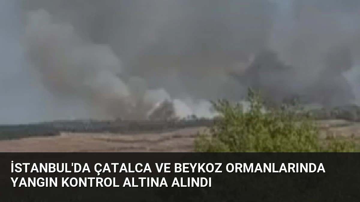 İstanbul’da Çatalca ve Beykoz Ormanlarında Yangın Kontrol Altına Alındı