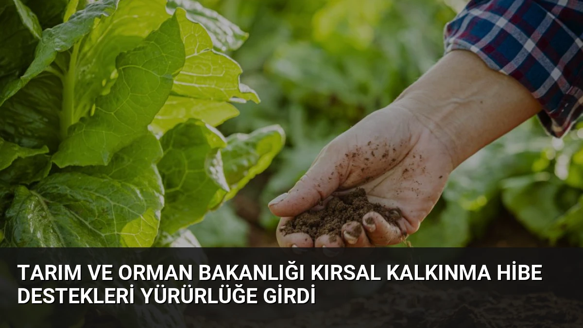 Tarım ve Orman Bakanlığı Kırsal Kalkınma Hibe Destekleri Yürürlüğe Girdi