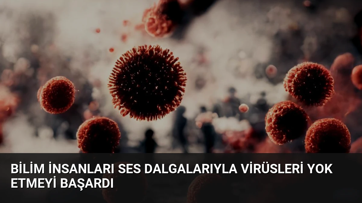 Bilim İnsanları Ses Dalgalarıyla Virüsleri Yok Etmeyi Başardı