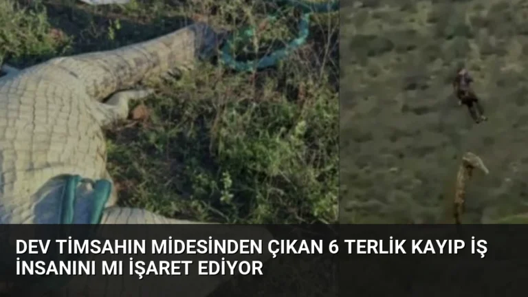 Dev Timsahın Midesinden Çıkan 6 Terlik Kayıp İş İnsanını mı İşaret Ediyor