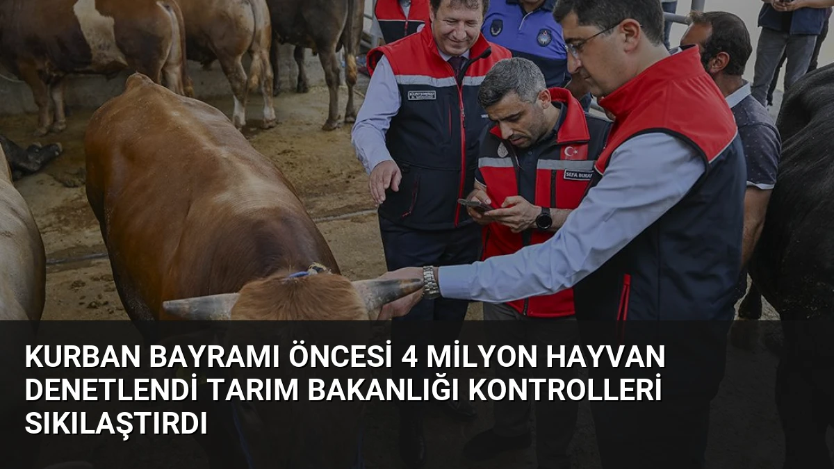 Kurban Bayramı Öncesi 4 Milyon Hayvan Denetlendi Tarım Bakanlığı Kontrolleri Sıkılaştırdı