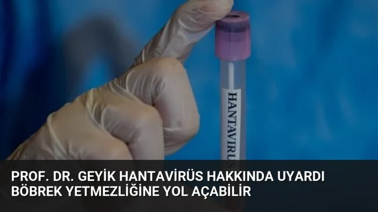 Prof. Dr. Geyik Hantavirüs Hakkında Uyardı Böbrek Yetmezliğine Yol Açabilir