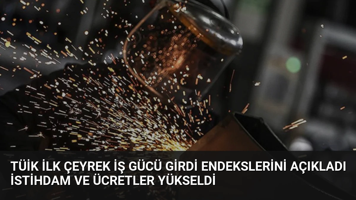 TÜİK İlk Çeyrek İş Gücü Girdi Endekslerini Açıkladı İstihdam ve Ücretler Yükseldi