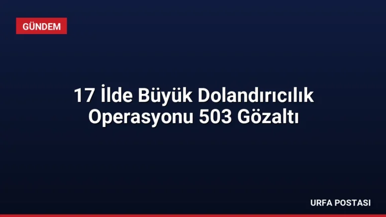 17 İlde Büyük Dolandırıcılık Operasyonu 503 Gözaltı