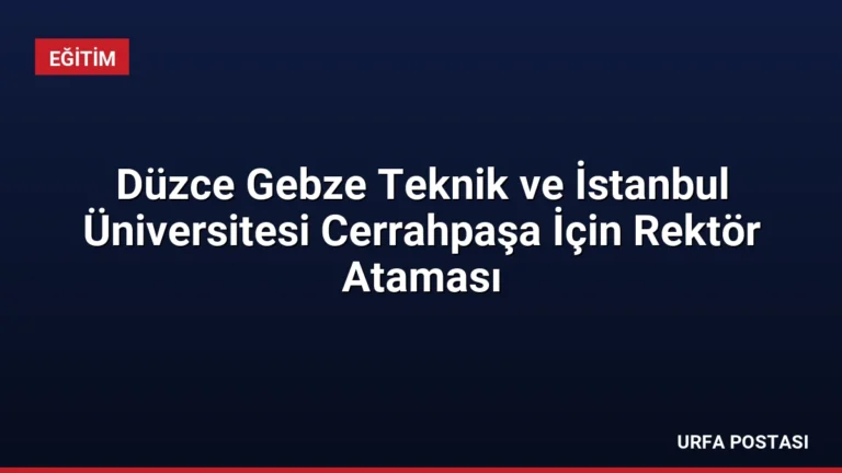 Düzce Gebze Teknik ve İstanbul Üniversitesi Cerrahpaşa İçin Rektör Ataması