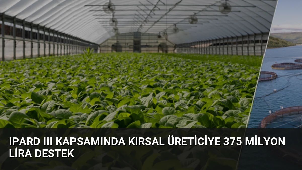 IPARD III Kapsamında Kırsal Üreticiye 375 Milyon Lira Destek