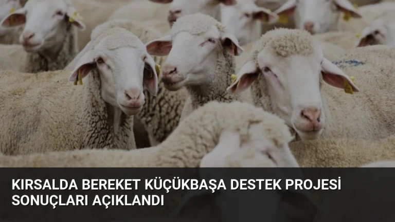 Kırsalda Bereket Küçükbaşa Destek Projesi sonuçları açıklandı