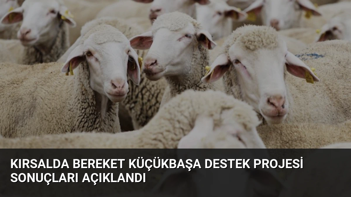 Kırsalda Bereket Küçükbaşa Destek Projesi sonuçları açıklandı