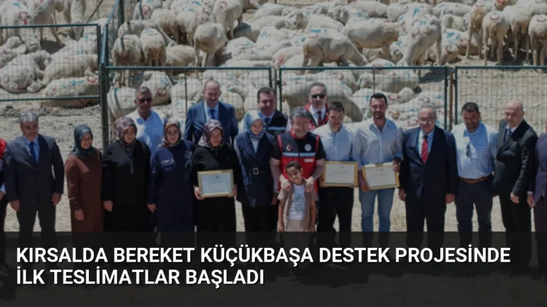 Kırsalda Bereket Küçükbaşa Destek Projesinde İlk Teslimatlar Başladı