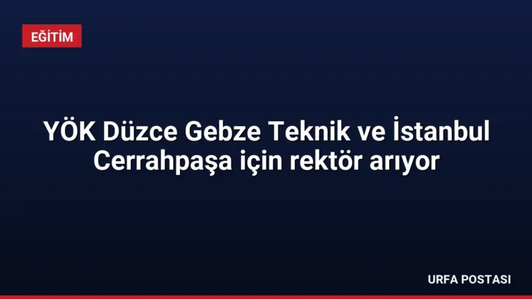YÖK Düzce Gebze Teknik ve İstanbul Cerrahpaşa için rektör arıyor