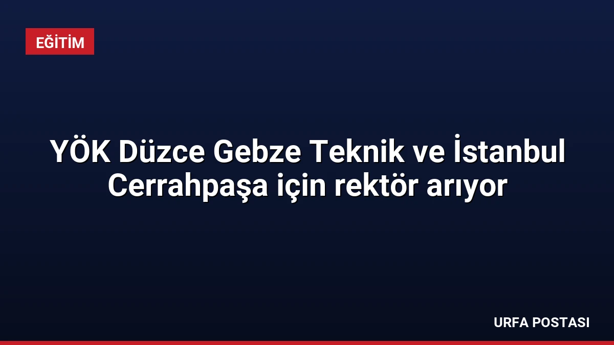 YÖK Düzce Gebze Teknik ve İstanbul Cerrahpaşa için rektör arıyor