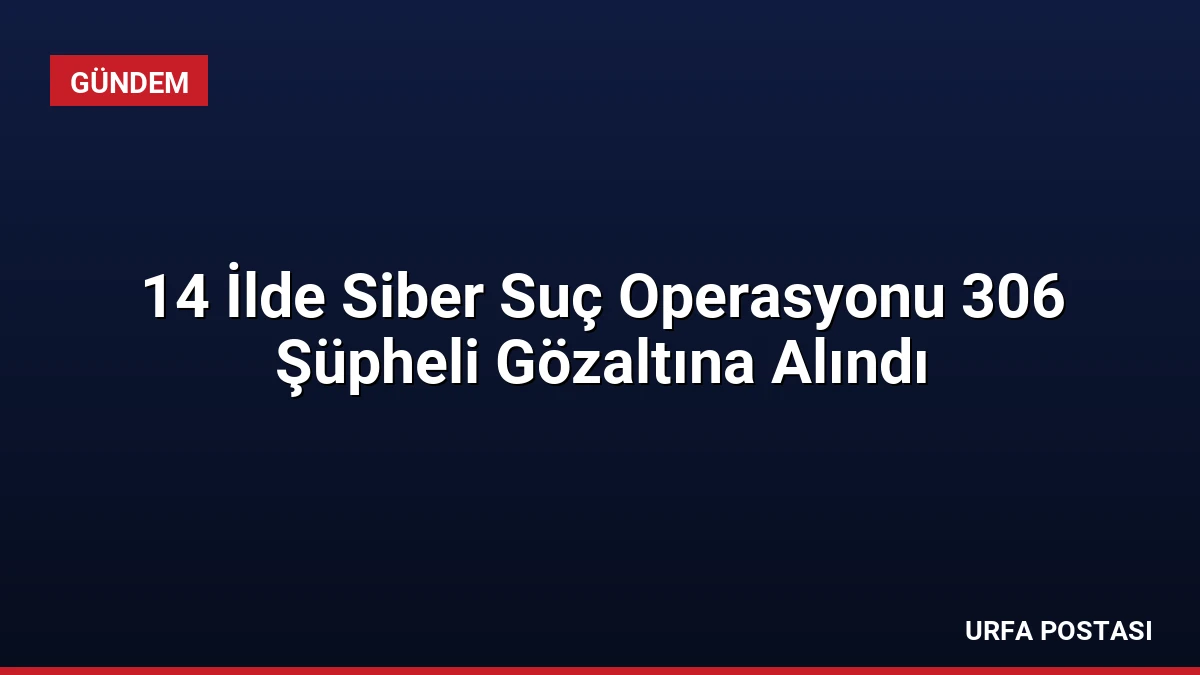 14 İlde Siber Suç Operasyonu 306 Şüpheli Gözaltına Alındı
