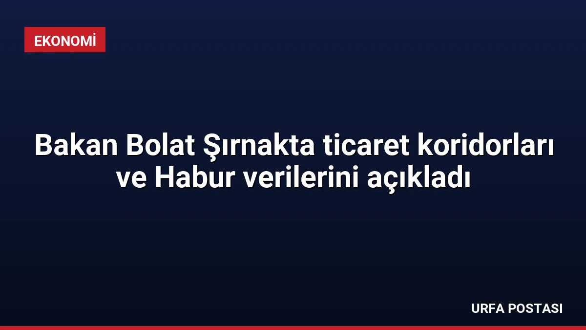Bakan Bolat Şırnakta ticaret koridorları ve Habur verilerini açıkladı