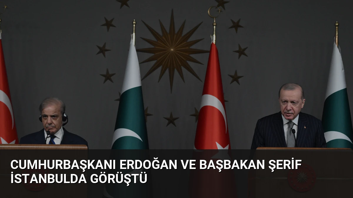 Cumhurbaşkanı Erdoğan ve Başbakan Şerif İstanbulda Görüştü