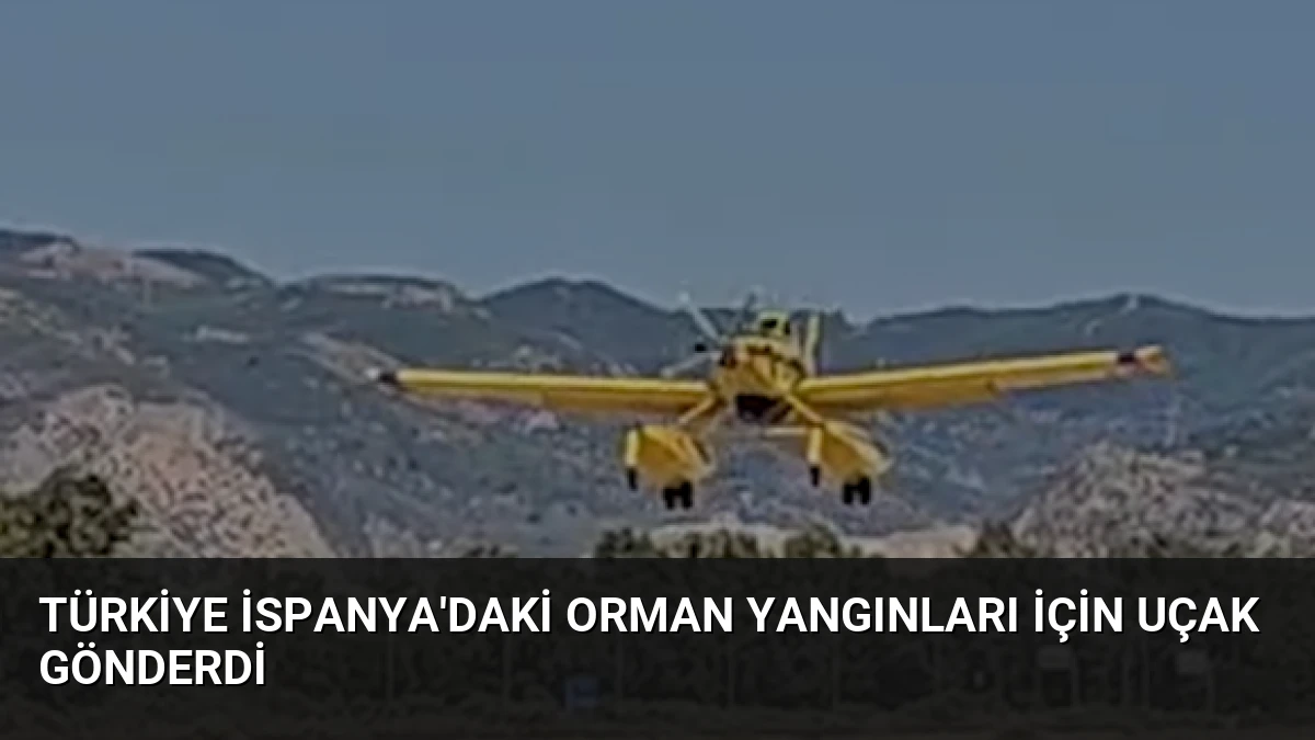 Türkiye İspanya’daki Orman Yangınları İçin Uçak Gönderdi