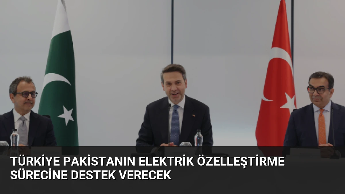 Türkiye Pakistanın Elektrik Özelleştirme Sürecine Destek Verecek