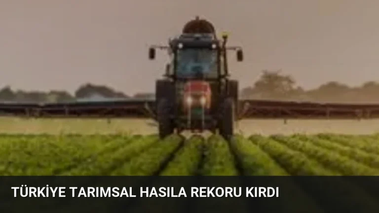 Türkiye Tarımsal Hasıla Rekoru Kırdı