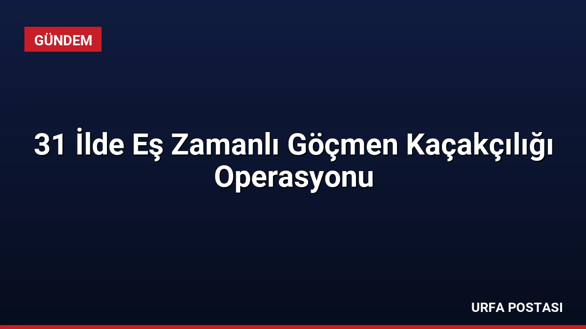 31 İlde Eş Zamanlı Göçmen Kaçakçılığı Operasyonu