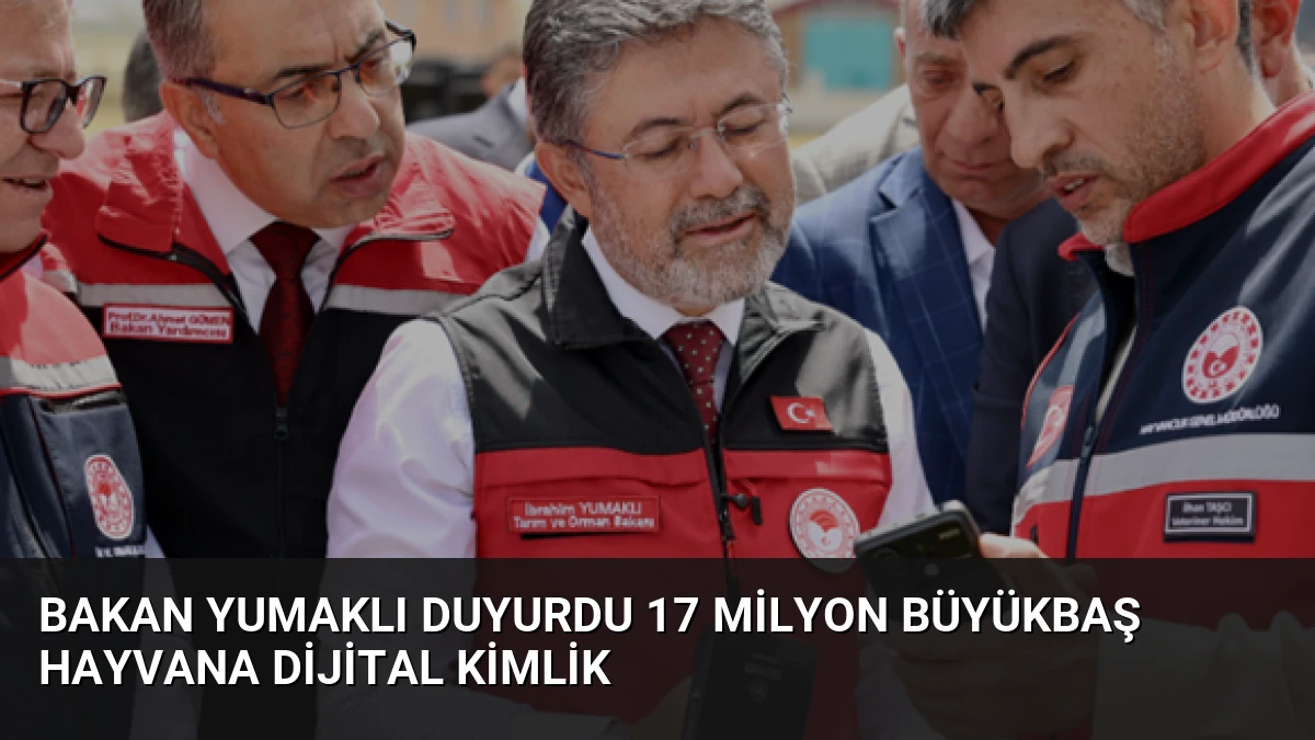 Bakan Yumaklı duyurdu 17 milyon büyükbaş hayvana dijital kimlik