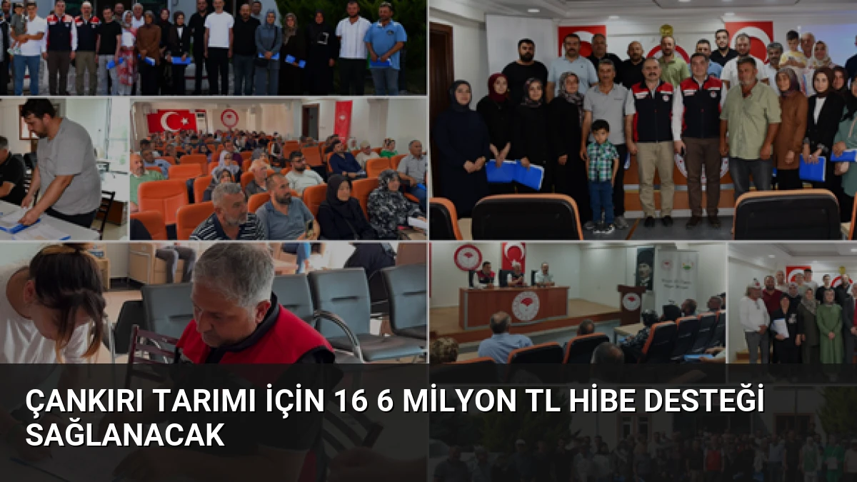 Çankırı Tarımı İçin 16 6 Milyon TL Hibe Desteği Sağlanacak