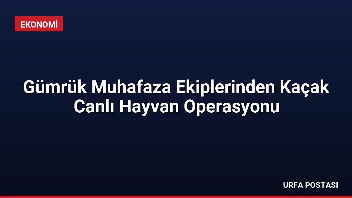 Gümrük Muhafaza Ekiplerinden Kaçak Canlı Hayvan Operasyonu