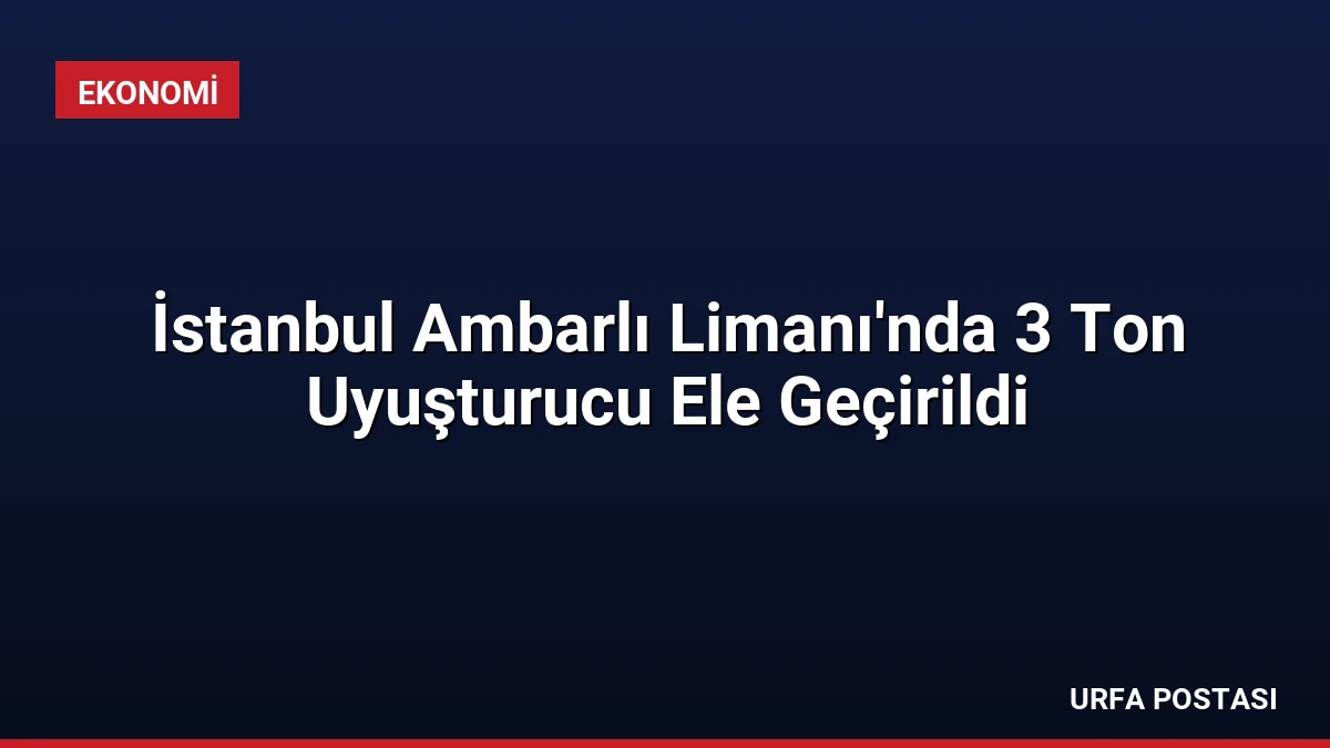 İstanbul Ambarlı Limanı’nda 3 Ton Uyuşturucu Ele Geçirildi
