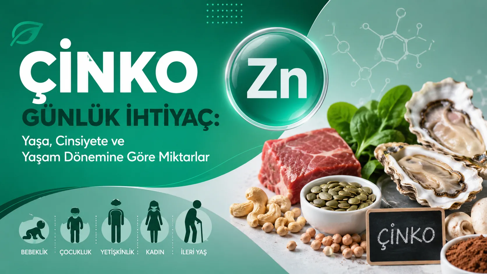 Çinko Günlük İhtiyaç: Yaşa, Cinsiyete ve Yaşam Dönemine Göre Miktarlar