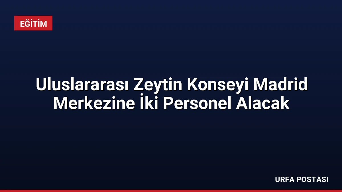 Uluslararası Zeytin Konseyi Madrid Merkezine İki Personel Alacak