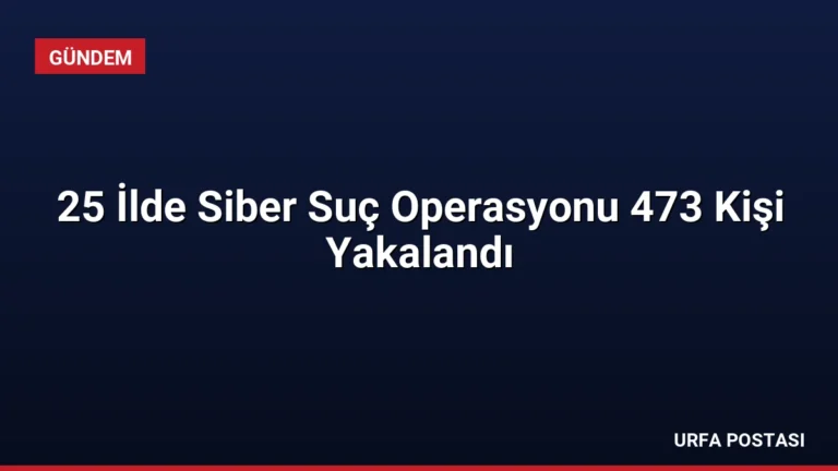 25 İlde Siber Suç Operasyonu 473 Kişi Yakalandı