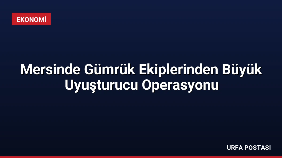 Mersinde Gümrük Ekiplerinden Büyük Uyuşturucu Operasyonu