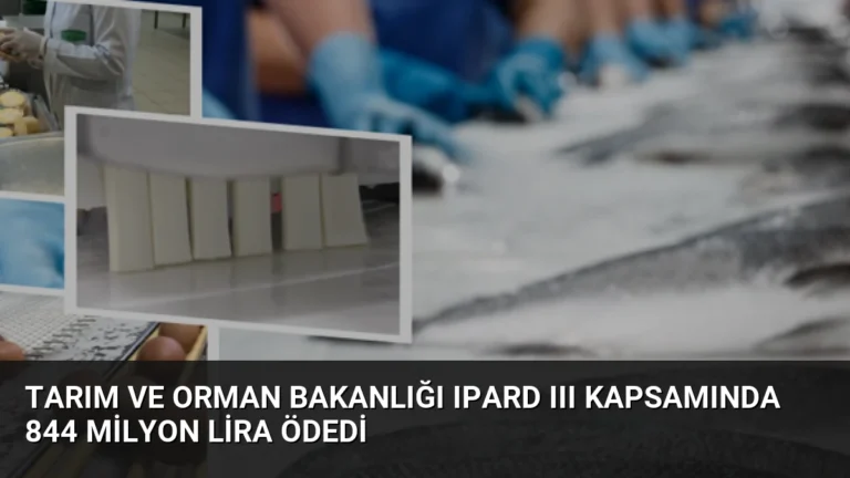 Tarım ve Orman Bakanlığı IPARD III Kapsamında 844 Milyon Lira Ödedi