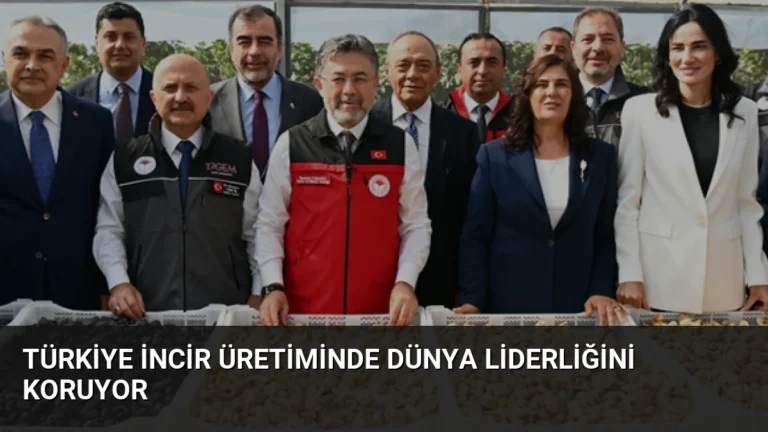 Türkiye İncir Üretiminde Dünya Liderliğini Koruyor