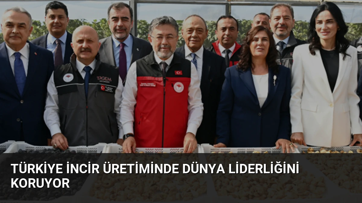 Türkiye İncir Üretiminde Dünya Liderliğini Koruyor