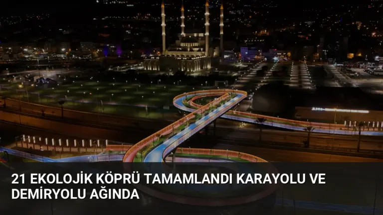 21 Ekolojik Köprü Tamamlandı Karayolu ve Demiryolu Ağında