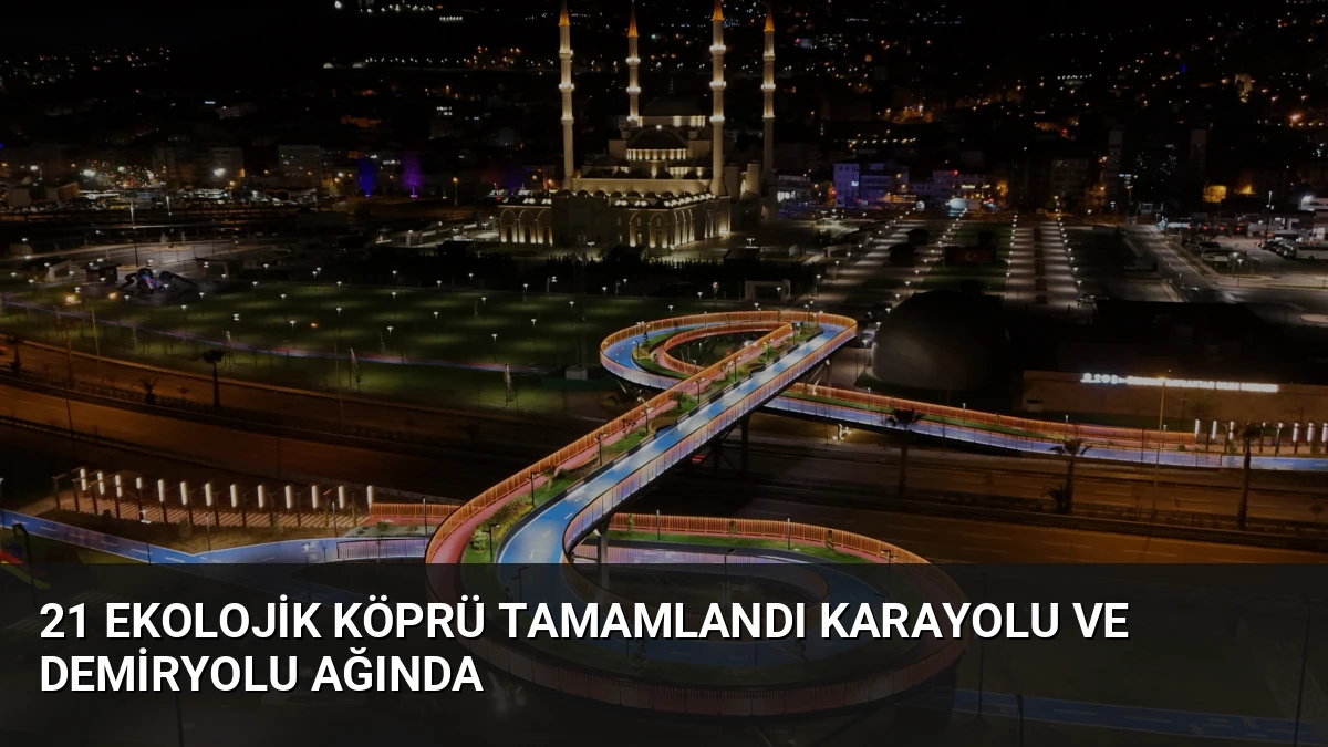 21 Ekolojik Köprü Tamamlandı Karayolu ve Demiryolu Ağında