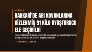 Hakkari’de Arı Kovanlarına Gizlenmiş 91 Kilo Uyuşturucu Ele Geçirildi