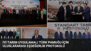 İyi Tarım Uygulamalı Türk Pamuğu İçin Uluslararası Eşdeğerlik Protokolü