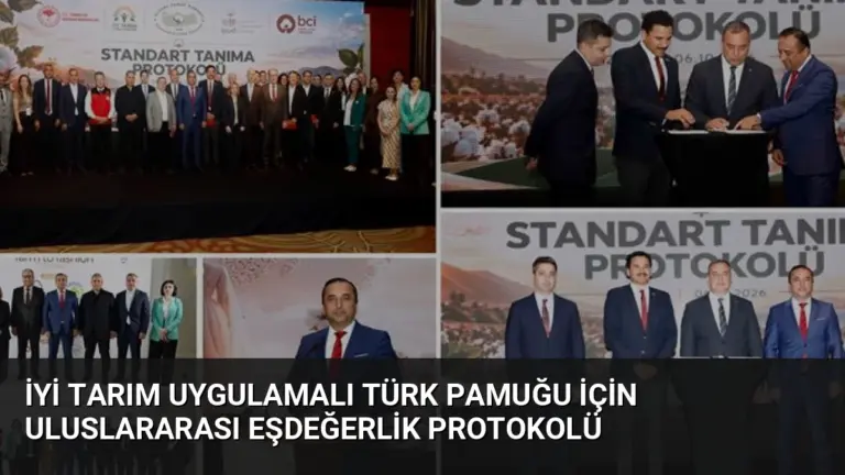 İyi Tarım Uygulamalı Türk Pamuğu İçin Uluslararası Eşdeğerlik Protokolü
