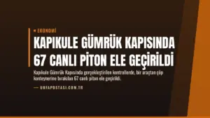 Kapıkule Gümrük Kapısında 67 Canlı Piton Ele Geçirildi