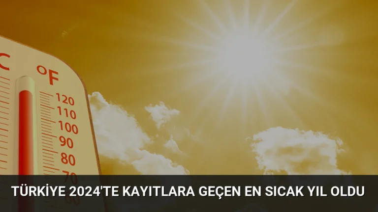 Türkiye 2024’te Kayıtlara Geçen En Sıcak Yıl Oldu